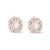 Winchester Earrings -- Crystal